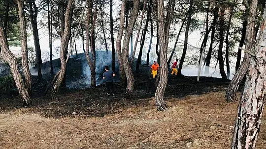 Kozan'da orman yangını