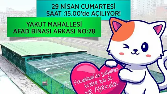 Geri sayım başladı! Açılıyor...