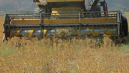 Okuldaki bilginin tarlada hasadı yapıldı