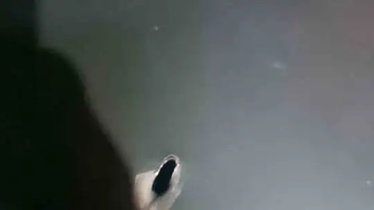 FLAŞ! Veterinerin şehit edildiği bölgede aracı kurşunlanan işçiden açıklama...