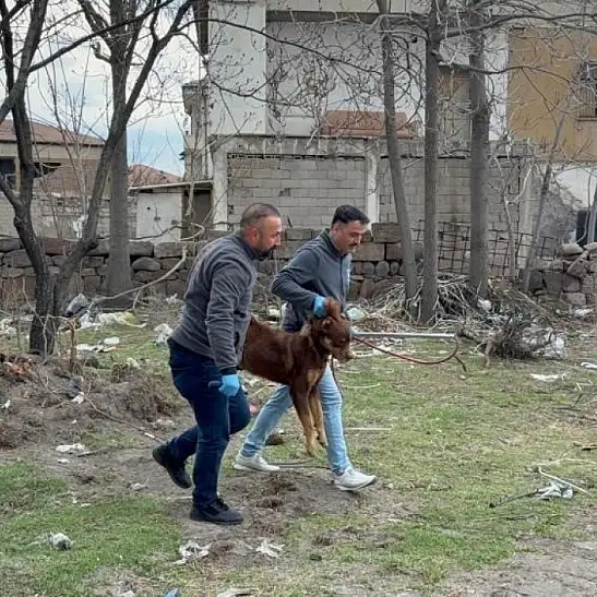Avukat Zeynep Karakuş, danıştay kararını açıkladı!