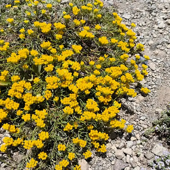 Erciyes’teki doğal oluşum dikkat çekti
