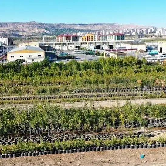 Kayseri'de bahçesi olanlar dikkat! Başvurular 19 Ekim'de başlıyor