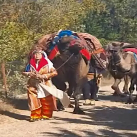Yayla yolunda kalan kadim bir iz