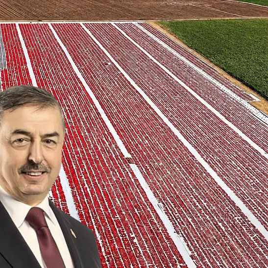 Yeşilhisar’ın kurutulmuş domates üretimi dikkat çekiyor