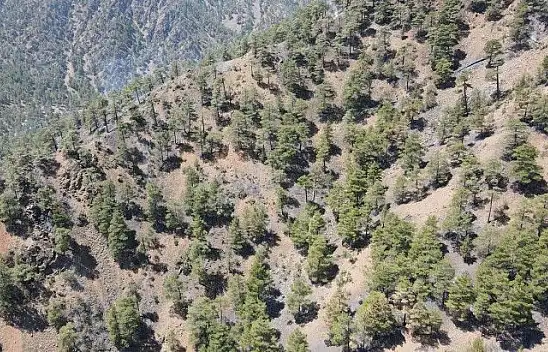 İşte yangının bilançosu!