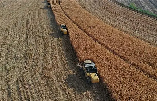 2 milyar 300 milyon destekleme ödemesi hesaplarda!