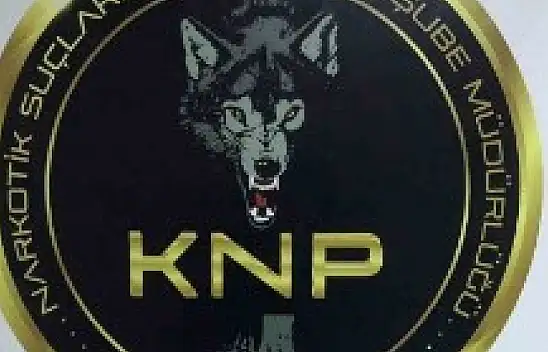 41 ilde eş zamanlı operasyon! İçlerinde Kayseri de var