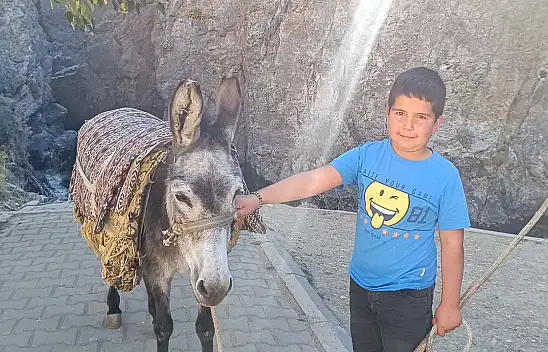 Kayseri'de 9 yaşındaki çocuk eşekle ticarete atıldı