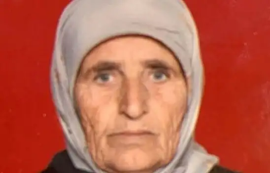 Adana'da köpek vahşeti!