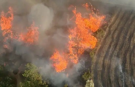 Adana'da orman yangını köye yaklaştı: 182 personel seferber oldu