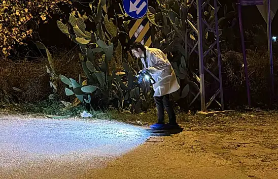 2 kardeş vurularak öldü