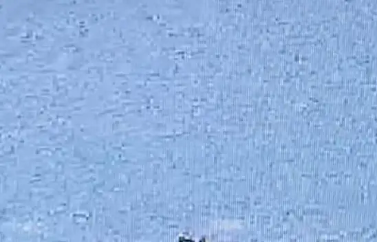 Yangın söndürme uçağı düştü