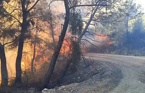 Kozan'daki yangında 10 ev tahliye edildi