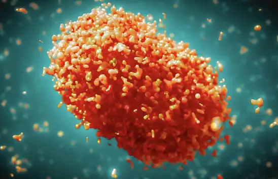 Afrika'dan yayılan salgın! Uzmanı merak edilenleri açıkladı