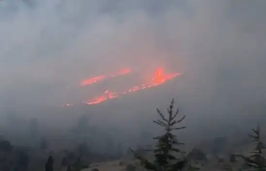 Kahramanmaraş'ta orman yangını