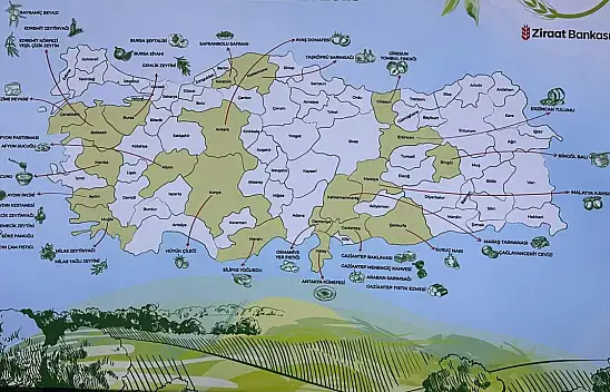 Afyonlular, Kayseri ve Kastamonululara böyle hava atıyor