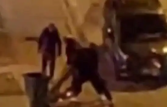 Ağacı sallaya sallaya sökenler bakın nasıl ceza yedi!