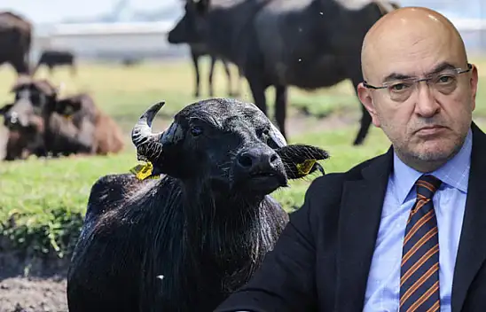 AK Partili vekil bu kez de Mandaların peşine düştü! Kayseri için tarih verdi