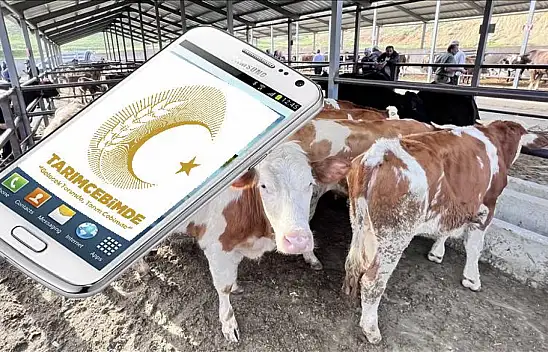 Alacağınız kurbanlıktan kurban olur mu? Cebinize sorun söylesin