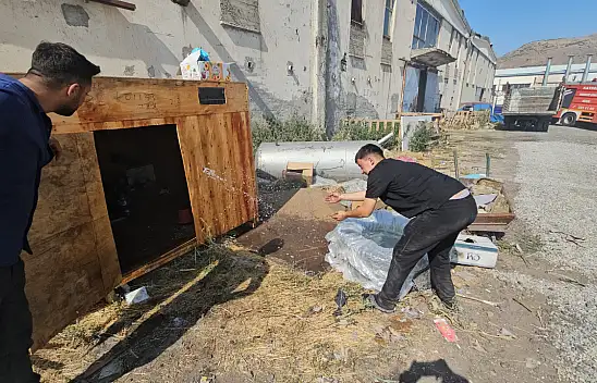 Alevlerin arasında kalan güvercin yuvası için herkes harekete geçti!