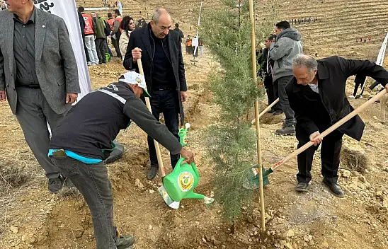 Ali Dağı'nda 1111 fidan toprakla buluştu