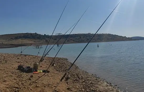 Amatör olta balıkçıları dikkat! Yeni tebliğ yayınlandı, yürürlüğe girecek