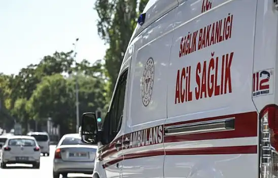 Argıncık'ta kavga: 1 yaralı