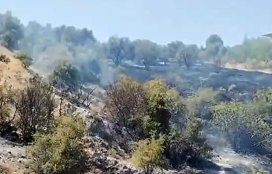 Bahçede çıkan yangın korkuttu