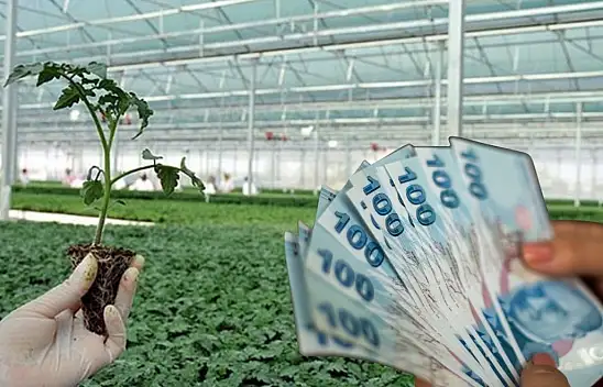 Bakan Yumaklı duyurdu: 226 milyon lira hesaplarda