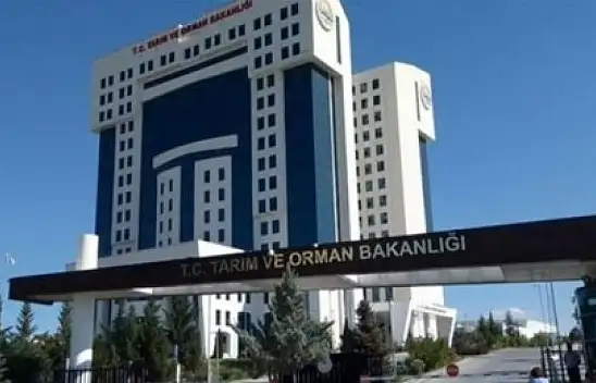 Bakanlık bu kelimelerin kullanımını yasakladı!