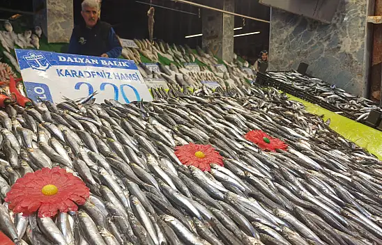 Balıkta kar bereketi