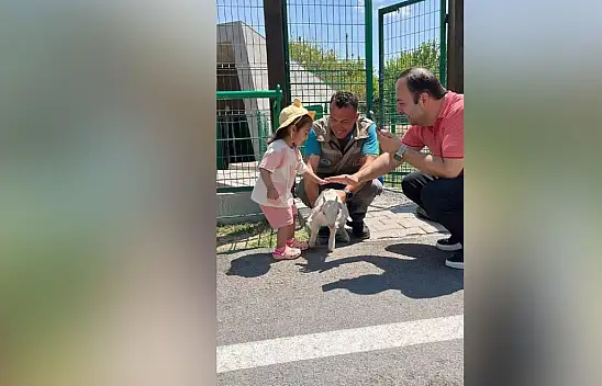 Başkan Büyükkılıç'tan alkışlatan proje! Çocukların ilk defa görmesini sağladı