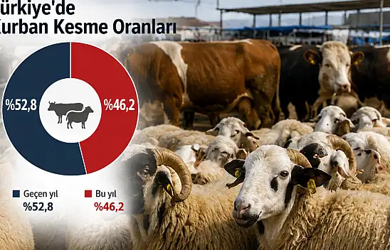 Bir yılda ne değişti? İşte vatandaşların kurban kesme oranları!
