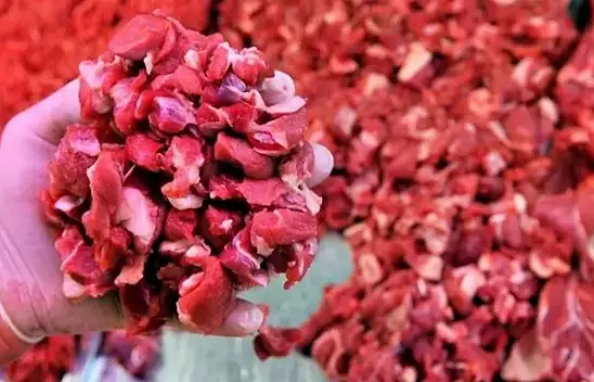 Bir zamda ete geldi!