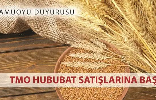 Buğdayı 10 TL'den arpayı 7.25 TL'den almıştı! TMO bakın kaçtan satıyor