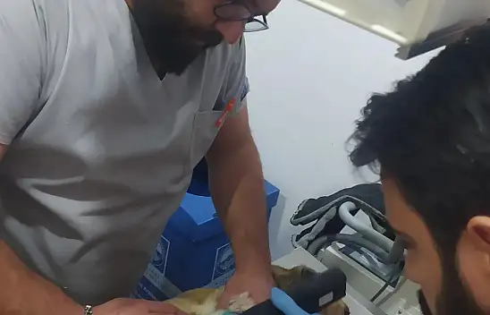 Bünyan'da hayat kurtaran operasyon