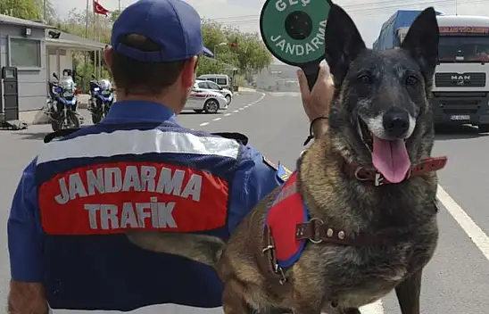 Burnuna sağlık: Durdurulan TIR'da zulaları tek tek patlattı!