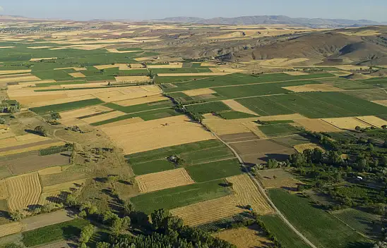 Daireden sonra SGK bu kez de tarla satıyor! İşte 16 bin TL'den satışa çıkan tarla ve tarlaların bulunduğu ilçeler