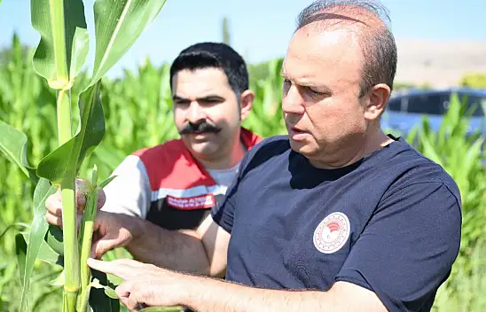 Damlamayla büyüdüler, Müdür yerinde inceledi!