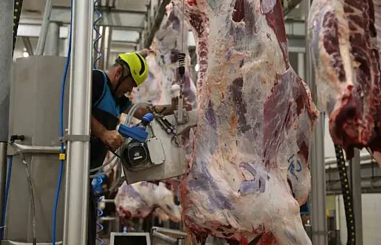 Dana kesim fiyatı düştü, kuzu ise arttı... İç Anadolu'da karkas et kesim fiyatları