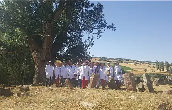 Develi'de 700 yıllık gizem!