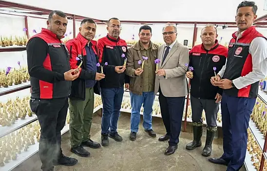 Dünyanın en pahalı baharatı Kayseri'de yetişir mi? Protokol sahada inceleme yaptı