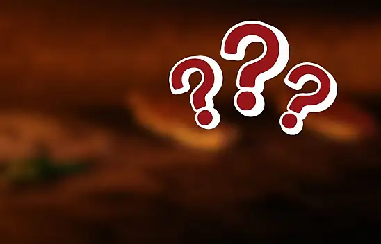 En çok görüntülenenler sıralandı! Kayseri'den listeye bakın ne girdi?