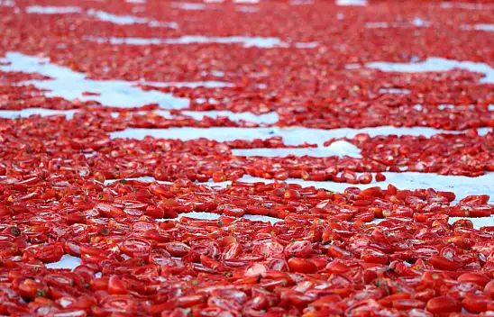 Erciyes'in etekleri bu kez kırmızıya boyandı!