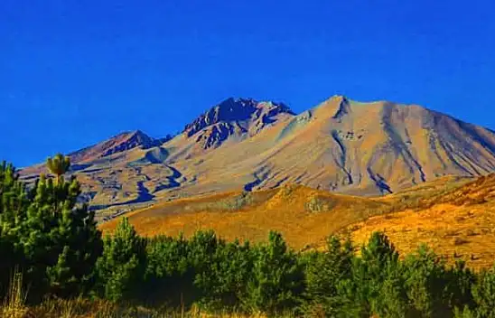 Erciyes Titrek Kavak ile yeşile dönüşür mü?