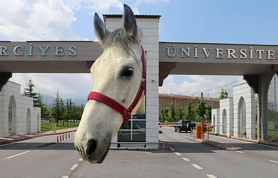 Erciyes Üniversitesi'nde at açıklaması!