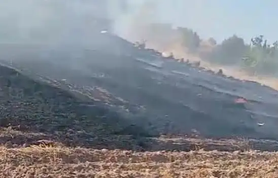 Erkilet Kuşçu'da yangın