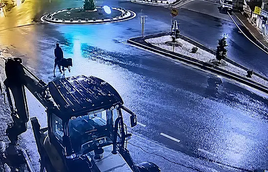 Eşekli hırsızın cezası belli oldu!