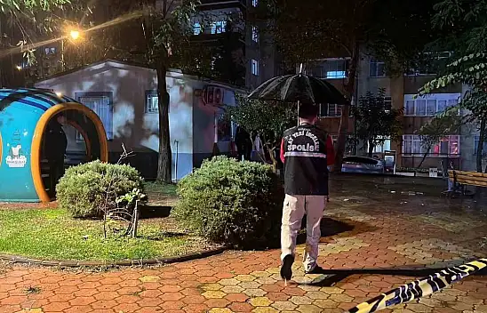 Eski eş ve kayınvalidesini öldüren şahıs, yakalanacağını anlayınca kendini vurdu